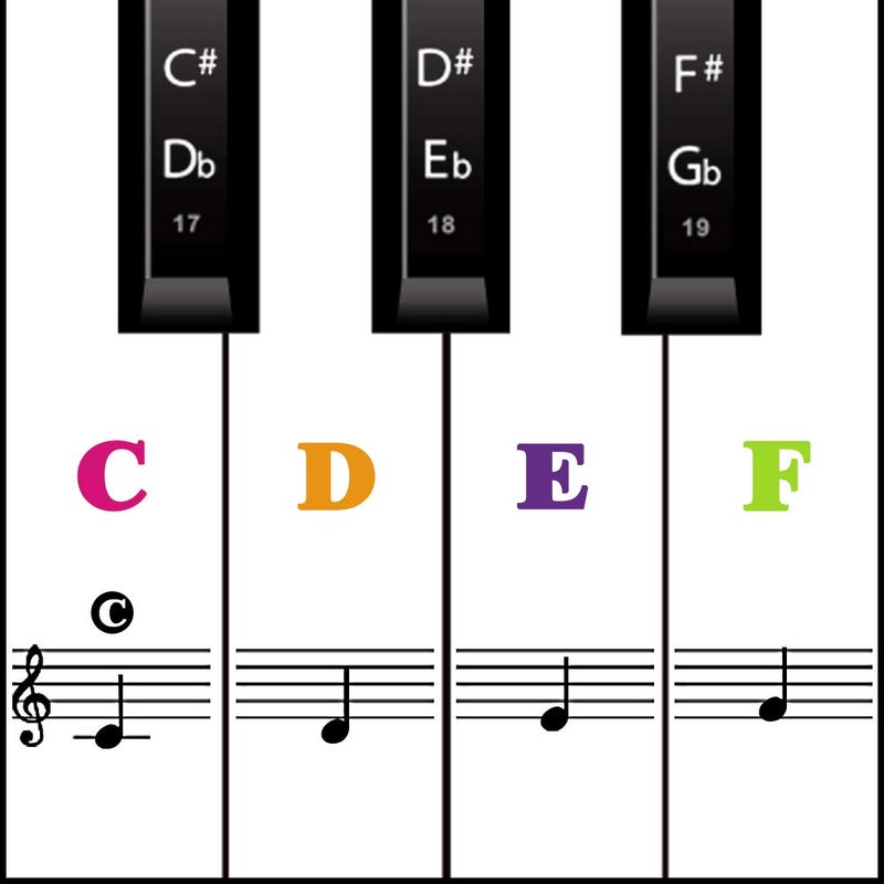 MUYOS Piano Keyboard Stickers for Beginners, Reusable & Protective Piano Key Labels, Piano Note Stickers Overlay for Full Size Pianos(Sticker-MixColor) - Image 1